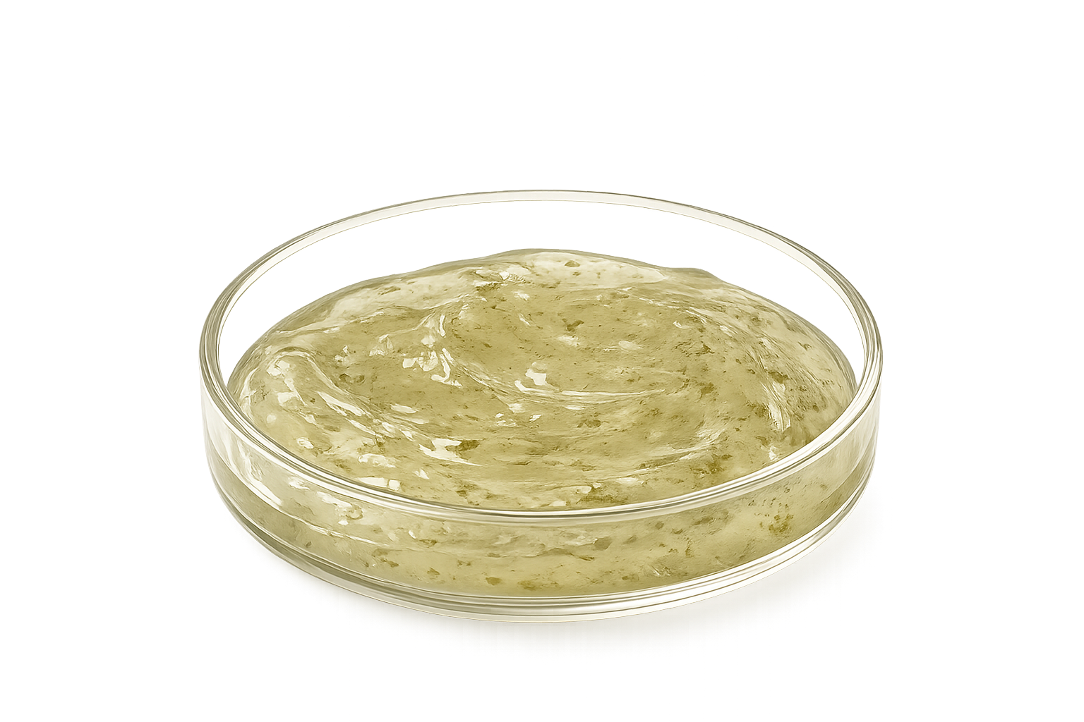 Seaweed-based gel formulated in a shallow lab dish.